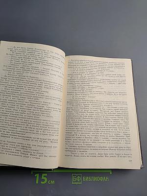 Звезды над болотом