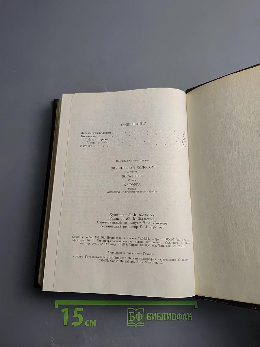 Звезды над болотом