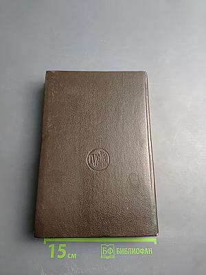 Звезды над болотом