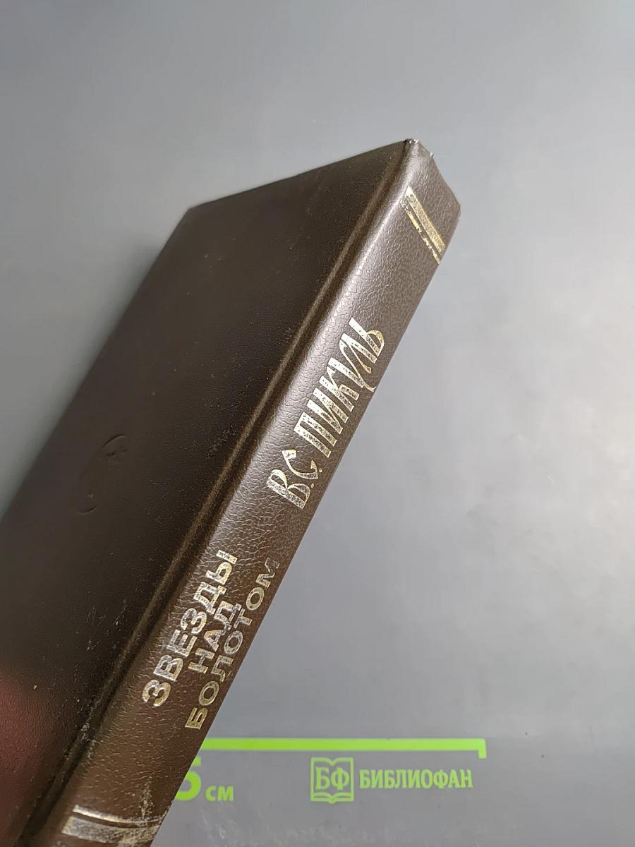 Звезды над болотом