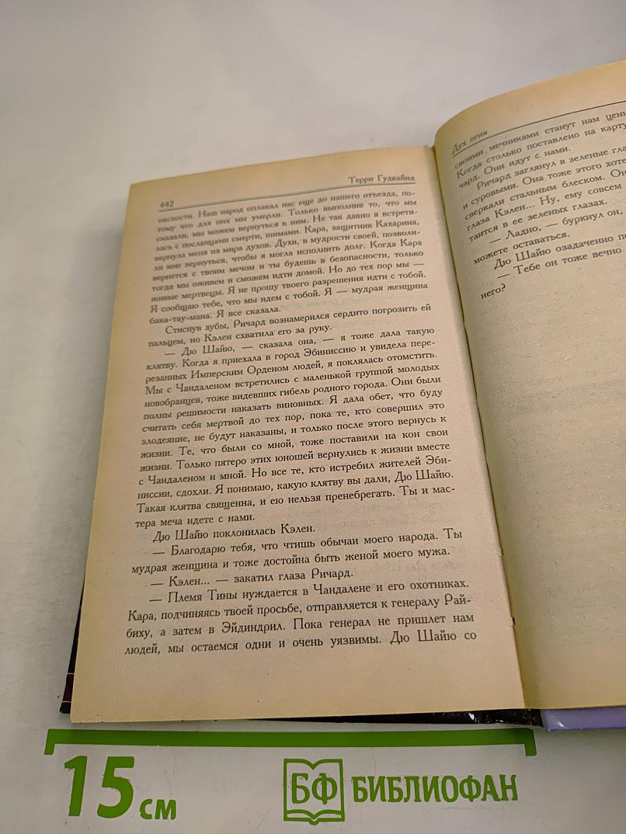 Пятое Правило Волшебника, или Дух огня: Роман. Книга 1