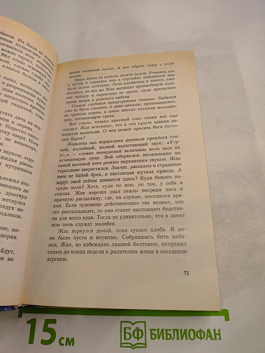 Страж Перевала