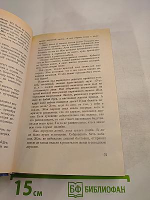 Страж Перевала