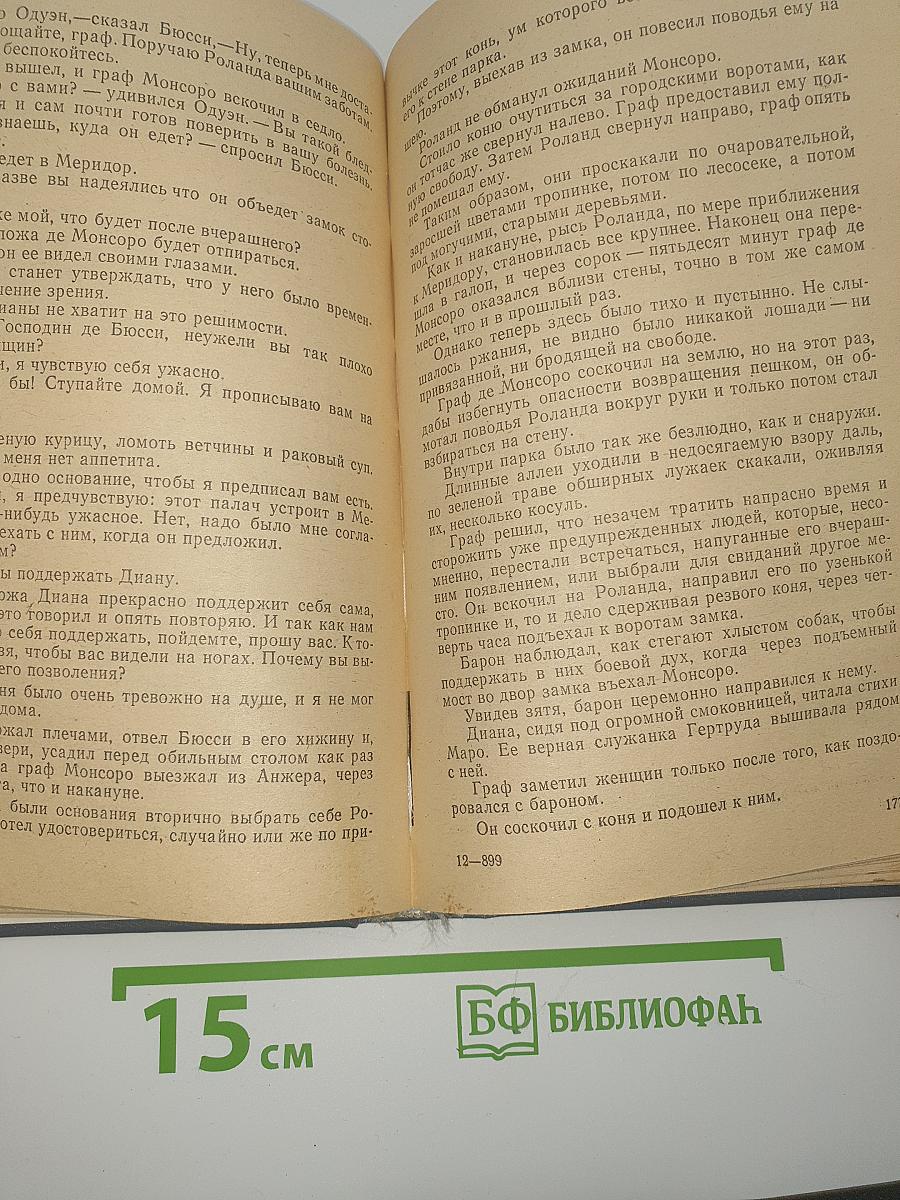 Графиня де Монсоро