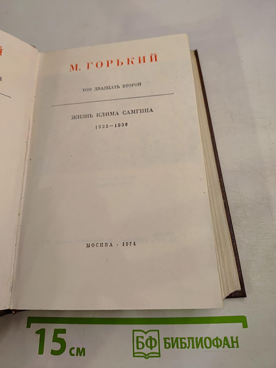 Жизнь Клима Самгина. Том 22