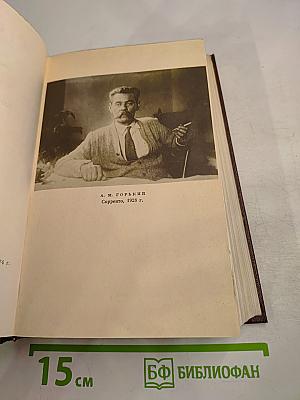 Жизнь Клима Самгина. Том 22