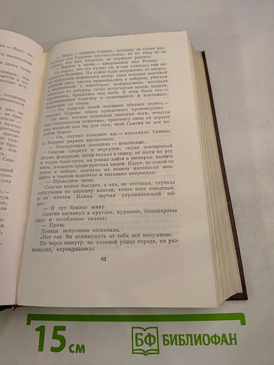 Жизнь Клима Самгина. Том 22