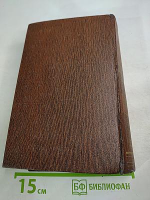 Жизнь Клима Самгина. Том 22