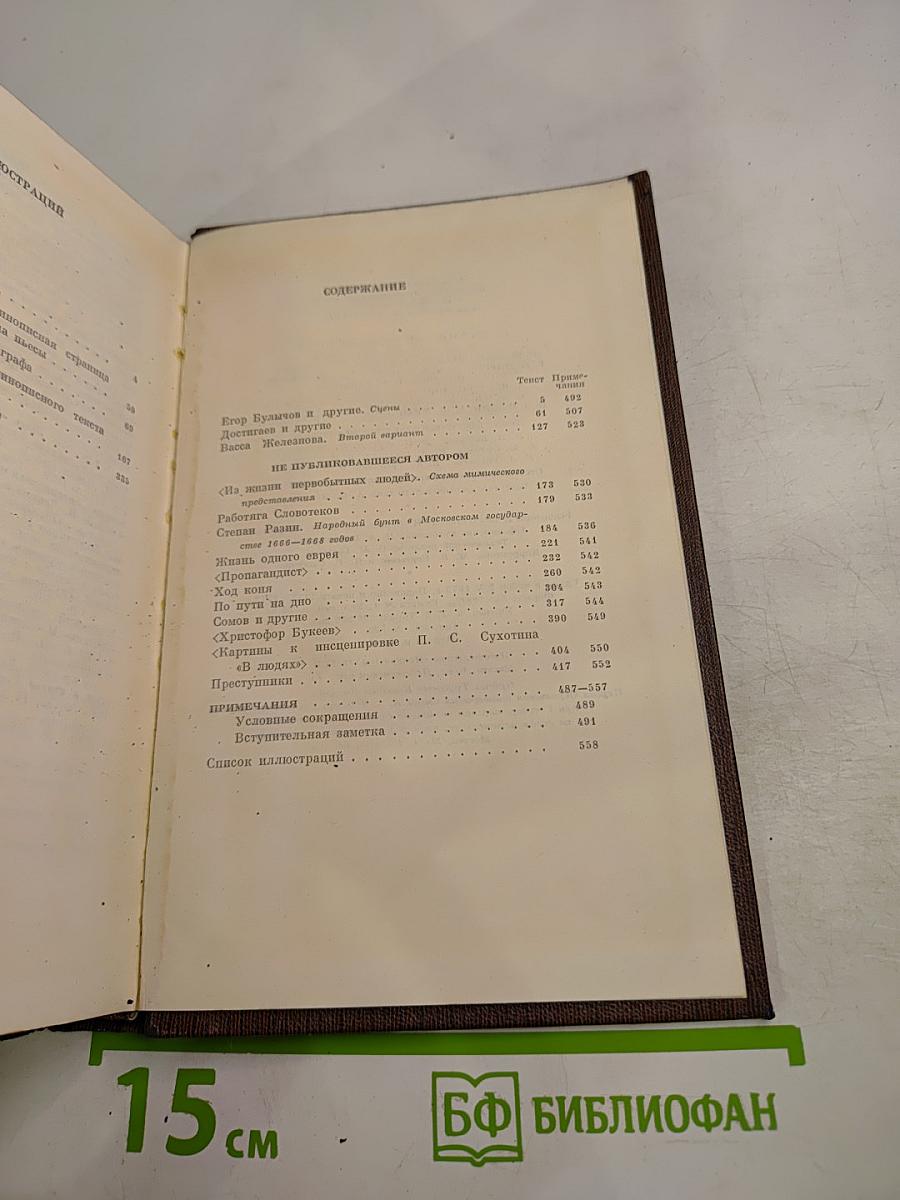М. Горький. Собрание сочинений. Том девятнадцатый: Пьесы, сценарии, драматические наброски 1917-1935