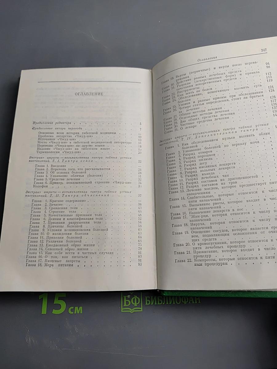 Чжуд-Ши: памятник средневековой тибетской культуры