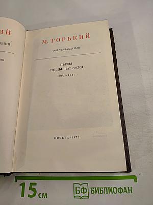 Собрание сочинений. Том тринадцатый: Пьесы. Сцены. Наброски