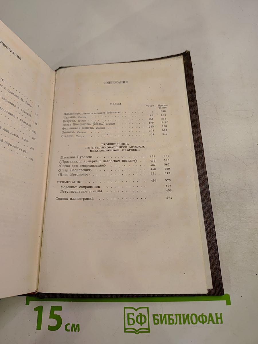 Собрание сочинений. Том тринадцатый: Пьесы. Сцены. Наброски