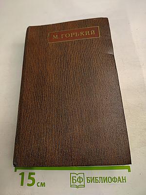 Собрание сочинений. Том восемнадцатый: Дело Артамоновых. Рассказы и наброски