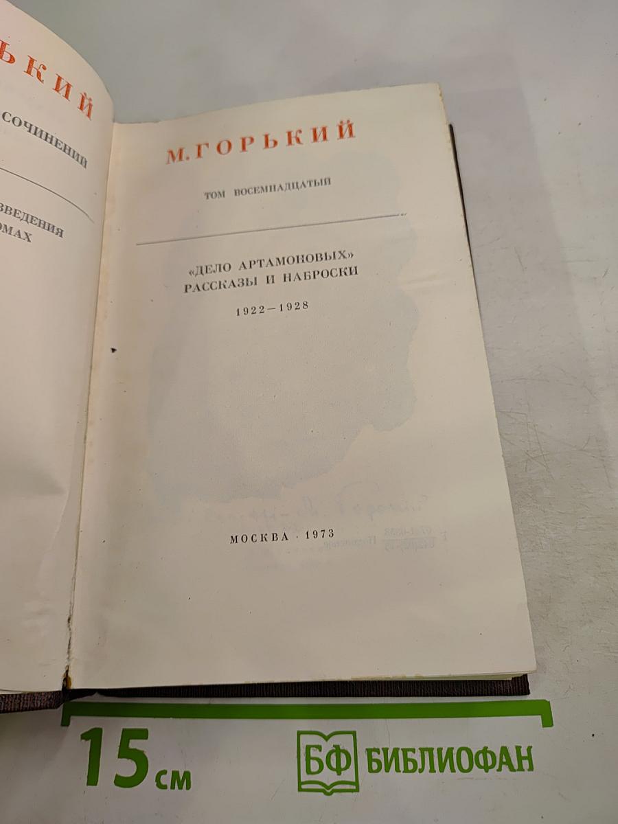 Собрание сочинений. Том восемнадцатый: Дело Артамоновых. Рассказы и наброски