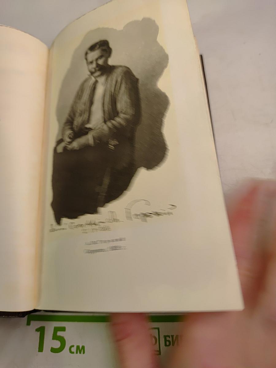 Собрание сочинений. Том восемнадцатый: Дело Артамоновых. Рассказы и наброски