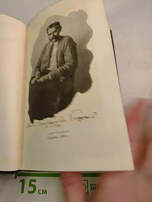Собрание сочинений. Том восемнадцатый: Дело Артамоновых. Рассказы и наброски
