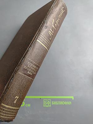 Пьесы, драматические наброски (Том 7)