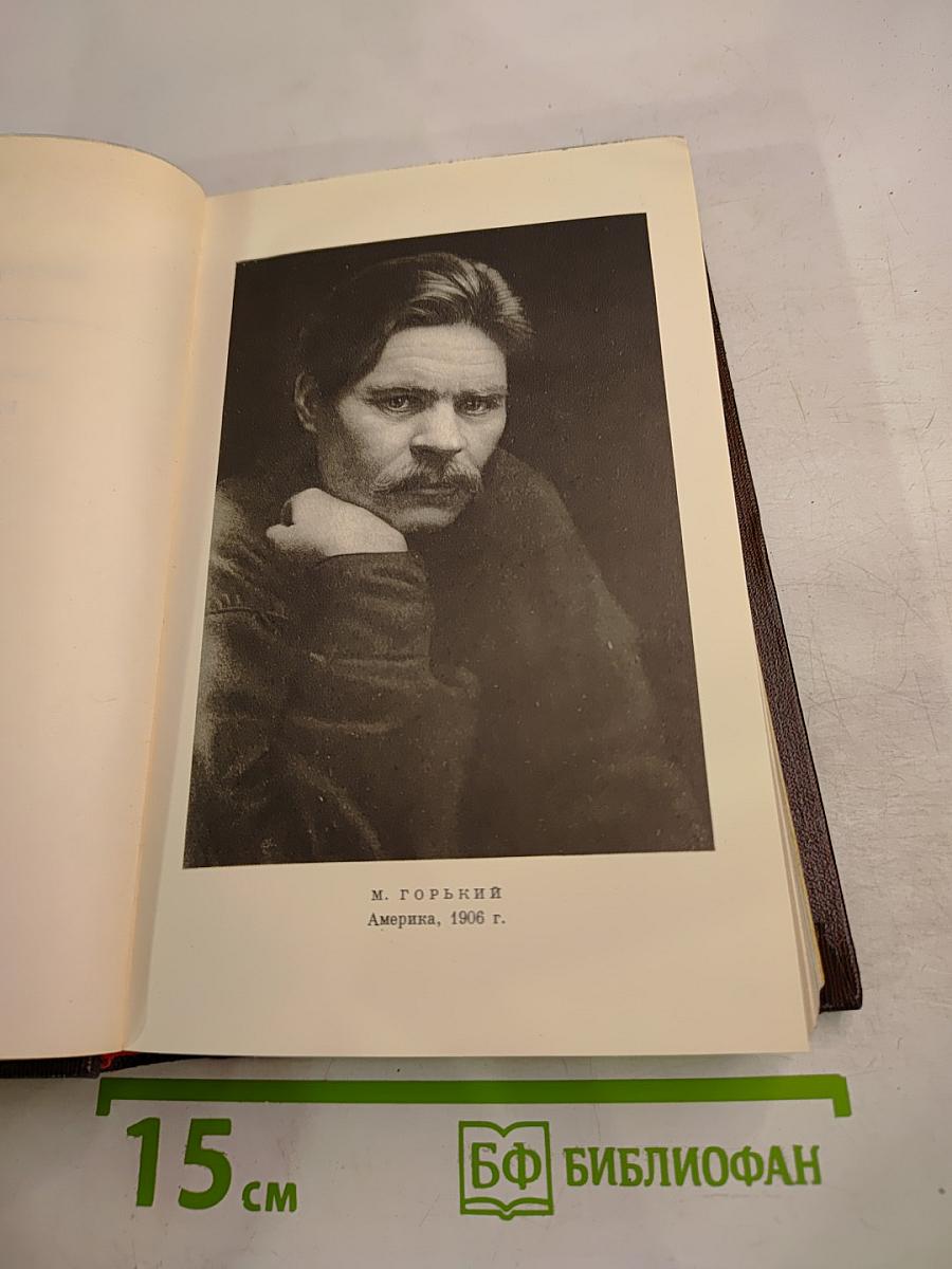 Мать. Рассказы. Очерк. 1906-1910. Том восьмой