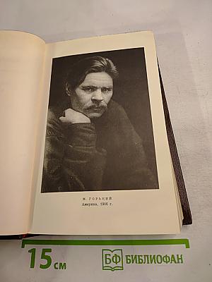 Мать. Рассказы. Очерк. 1906-1910. Том восьмой