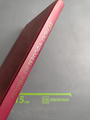 Поэты Петергофа - Победе