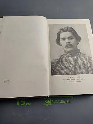 Художественные произведения. Том четвертый