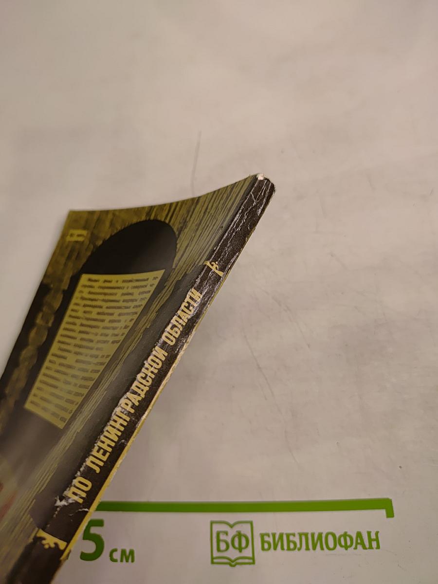 По Ленинградской области