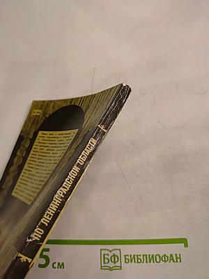 По Ленинградской области