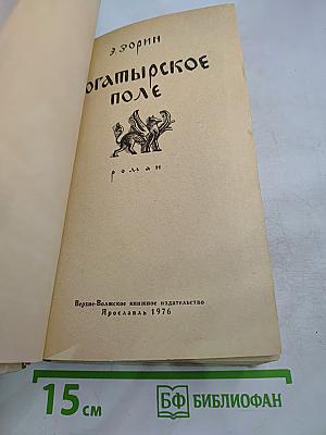 Богатырское поле