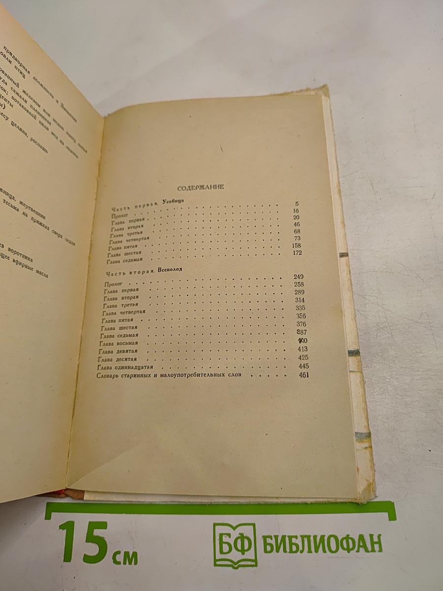 Богатырское поле