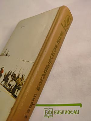 Богатырское поле