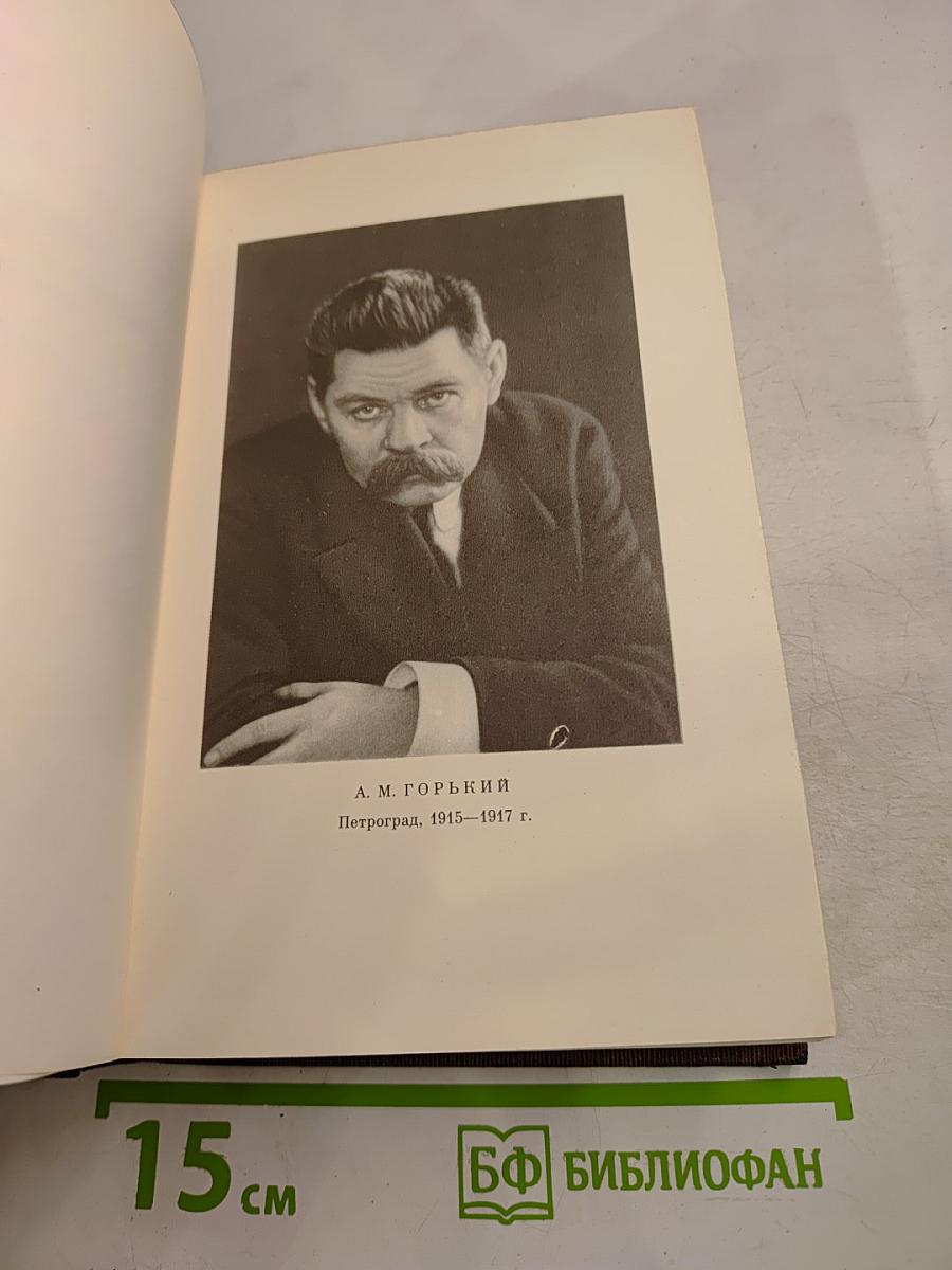 М. Горький. Собрание сочинений. Том шестнадцатый: Повесть, рассказы, очерки, стихи 1917-1924