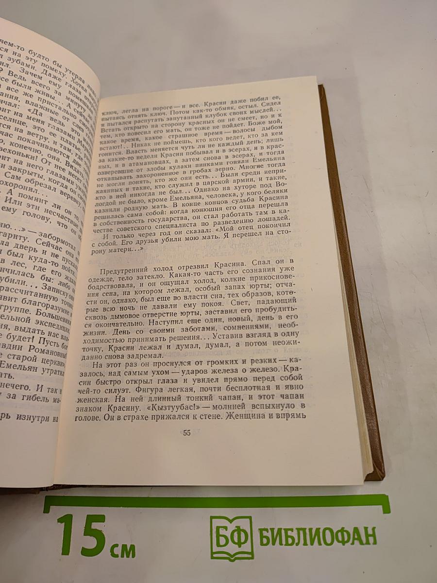 Время земное