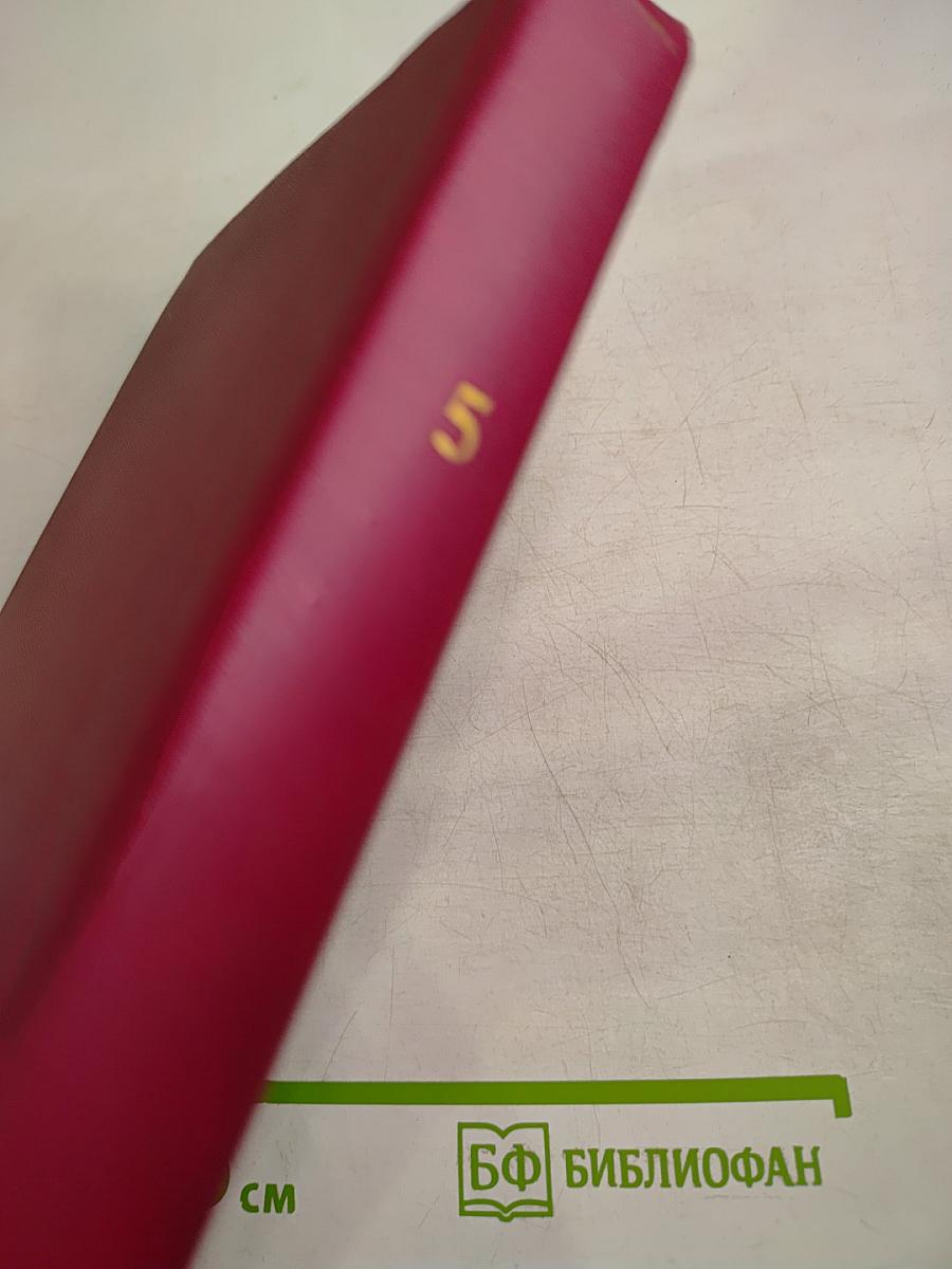 Вигьяна Бхайрава Тантра. Книга Тайн. Новый Комментарий. Том 5