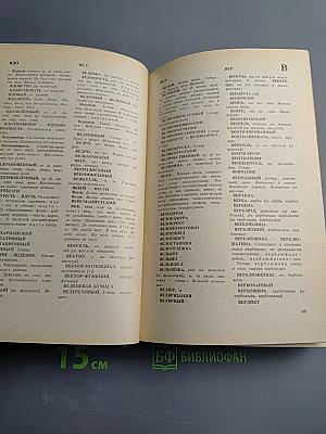 Словарь трудностей русского языка