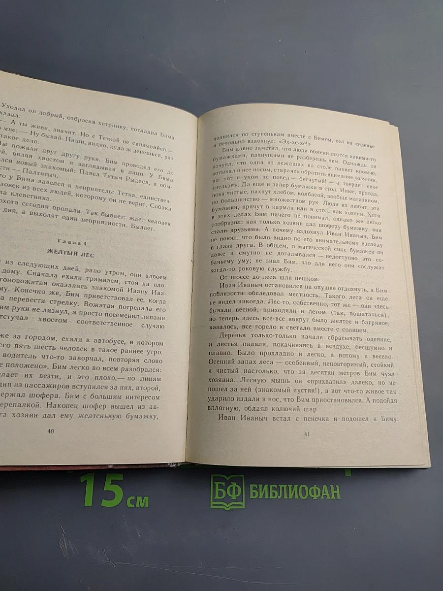 Белый Бим Черное Ухо