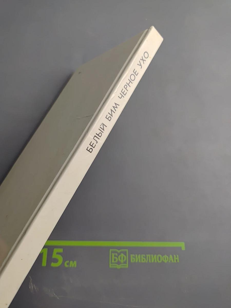 Белый Бим Черное Ухо