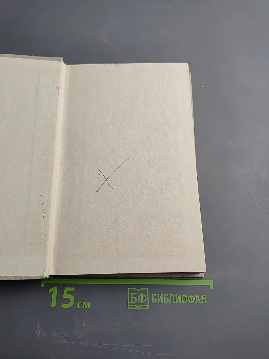 Розы на снегу