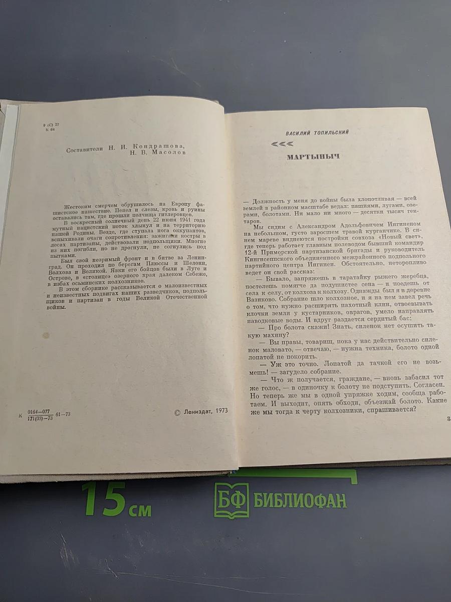 Розы на снегу