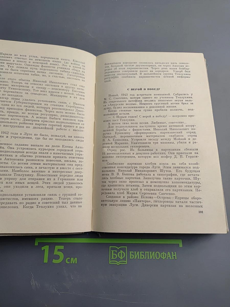 Розы на снегу