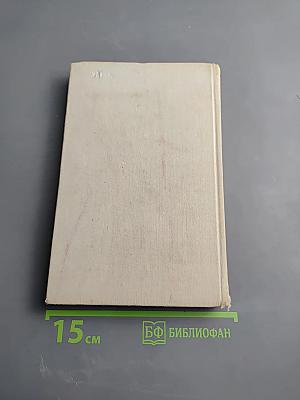 Розы на снегу