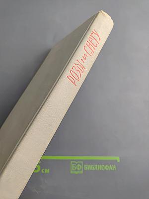 Розы на снегу