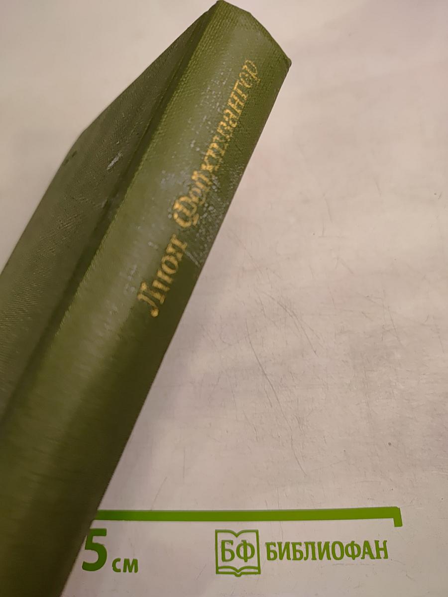 Безобразная герцогиня Маргарита Маульташ. Семья Опперман