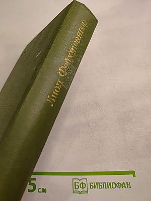 Безобразная герцогиня Маргарита Маульташ. Семья Опперман