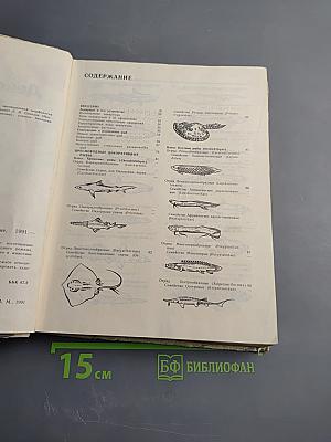 Декоративное рыбоводство