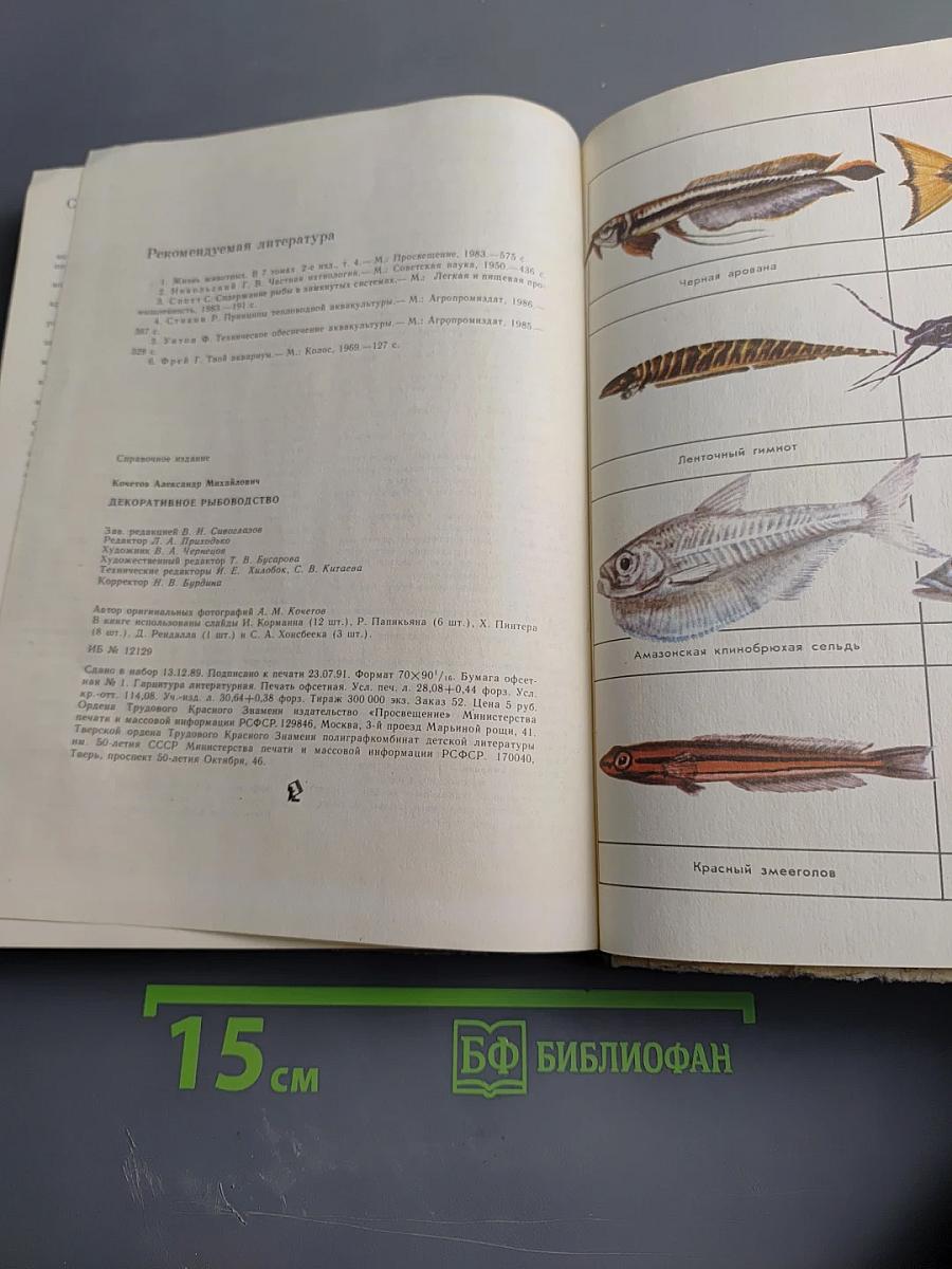 Декоративное рыбоводство