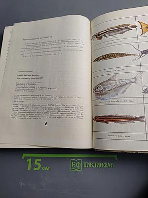 Декоративное рыбоводство