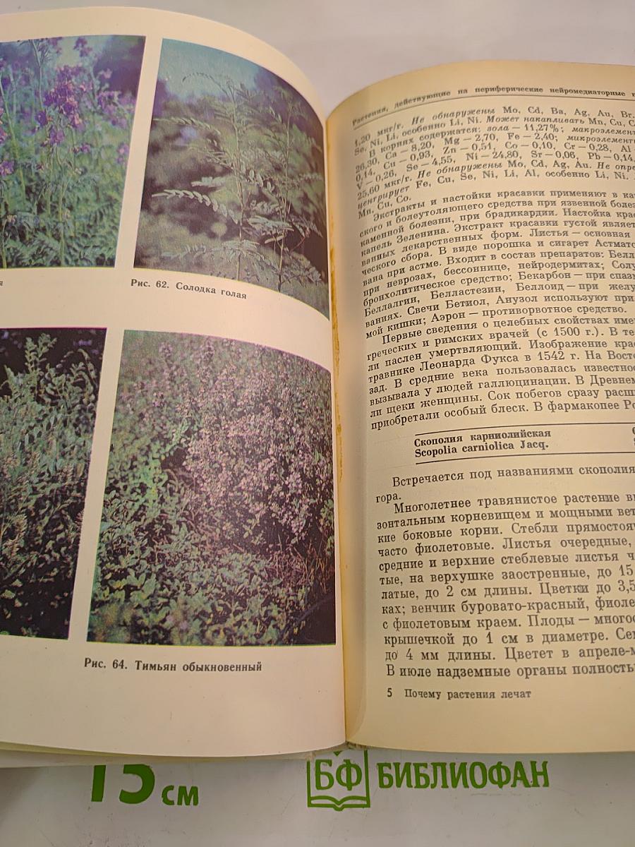 Почему растения лечат