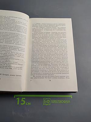 Собрание сочинений. Том 22: Рассказы, очерки, воспоминания 1924-1935