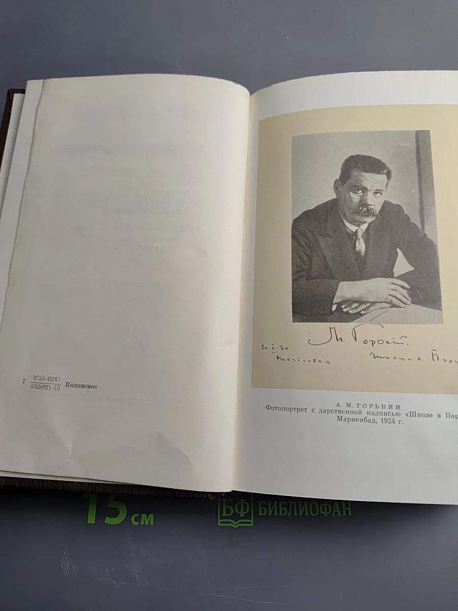 Собрание художественных произведений. Том семнадцатый: Заметки из дневника. Воспоминания. Рассказы 1922-1924 годов