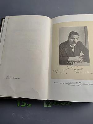 Собрание художественных произведений. Том семнадцатый: Заметки из дневника. Воспоминания. Рассказы 1922-1924 годов